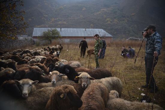 Eid al-Adha celebrations in Chechnya