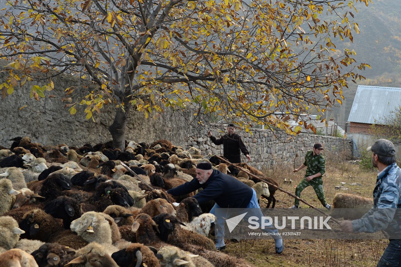 Eid al-Adha celebrations in Chechnya
