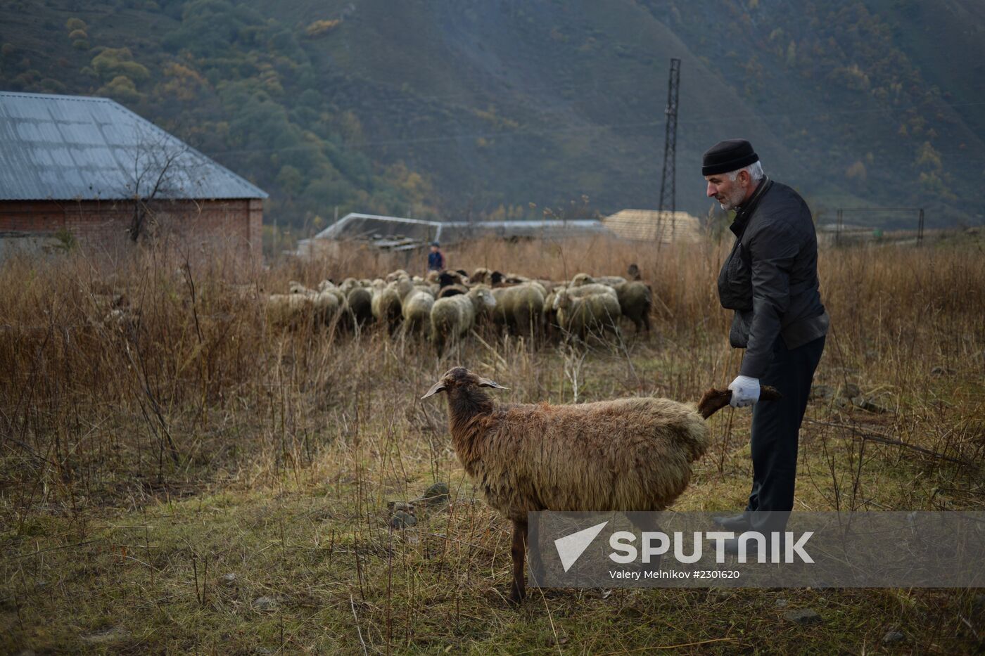Eid al-Adha celebrations in Chechnya