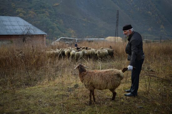 Eid al-Adha celebrations in Chechnya