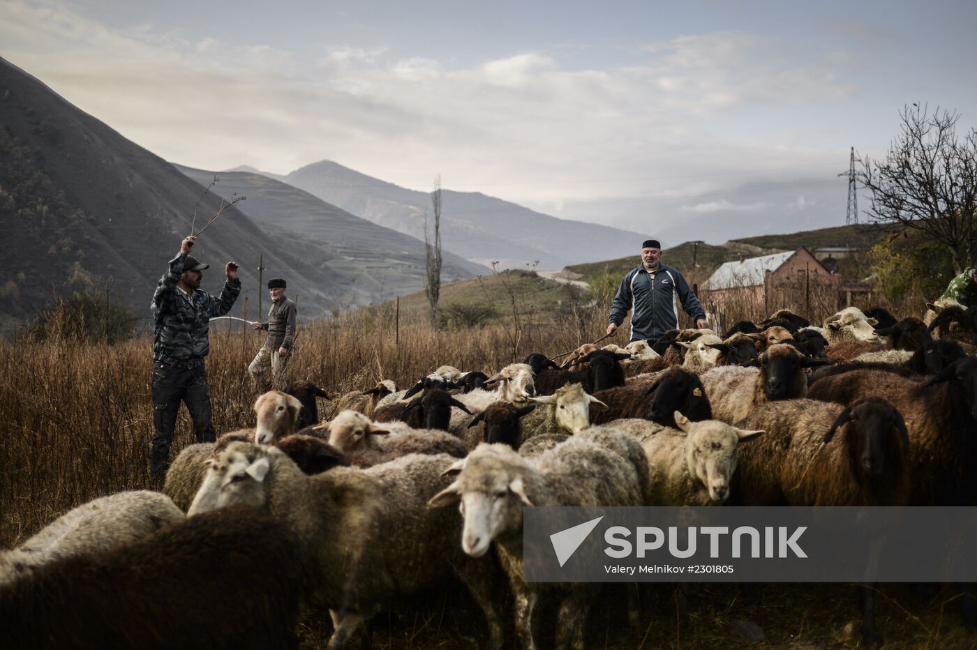 Muslim holiday of Eid al-Adha (Kurban Bayram) celebrated in Chechnya