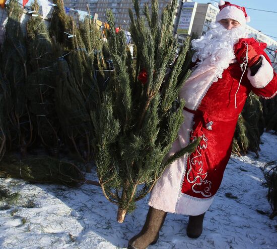 Father Frost
