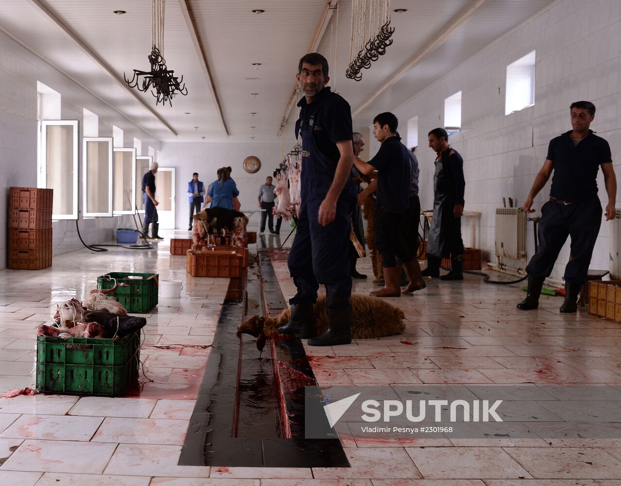 Preparations for Feast of Sacrifice in Azerbaijan