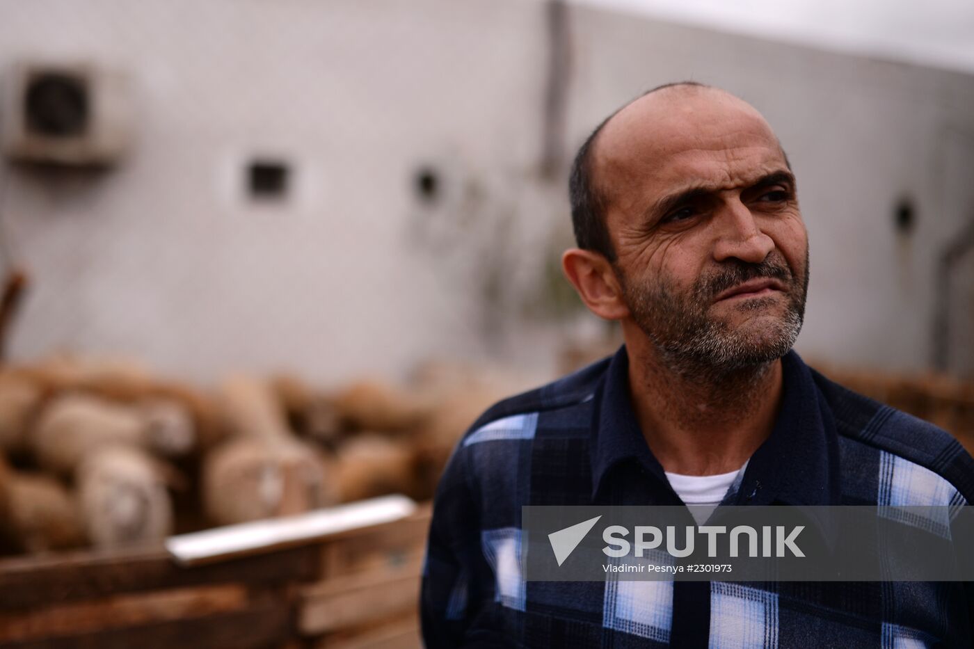 Preparations for Feast of Sacrifice in Azerbaijan