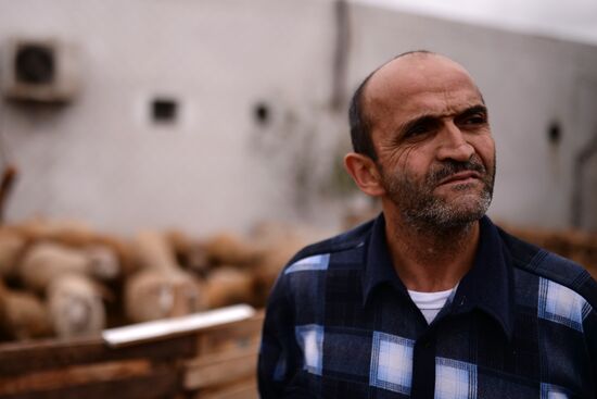 Preparations for Feast of Sacrifice in Azerbaijan