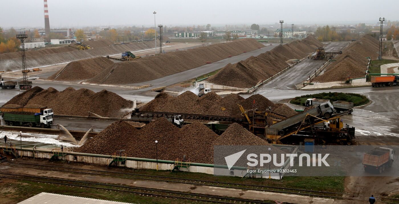 Sugar factory in Slutsk