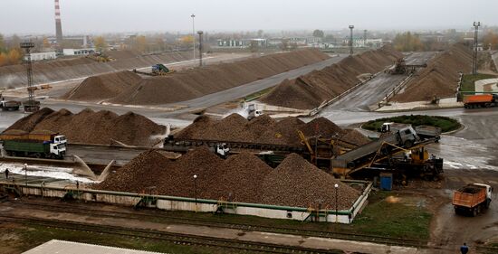 Sugar factory in Slutsk