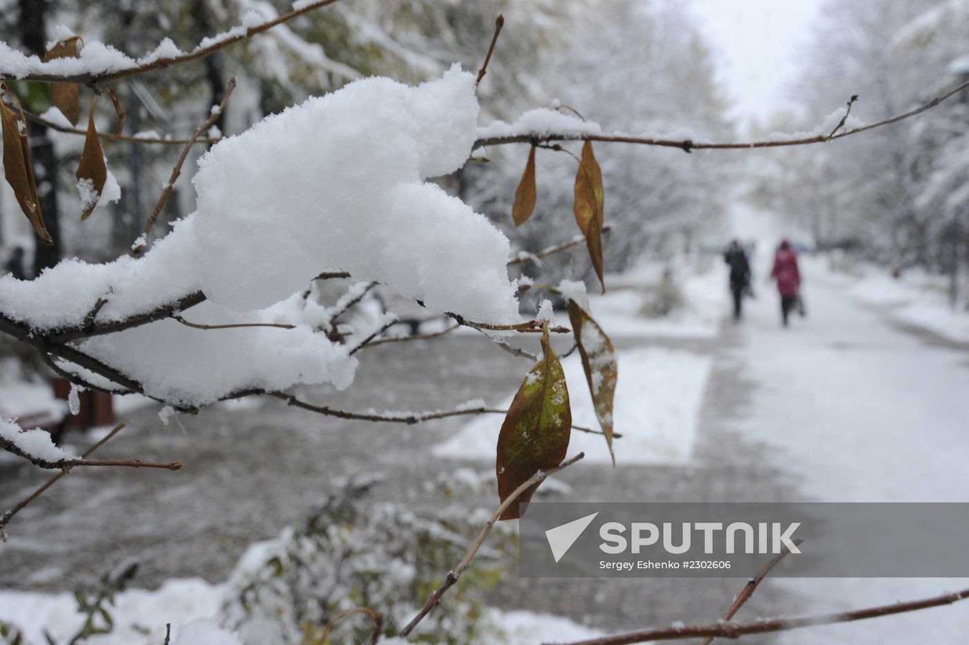 First snowfalls in the Russian provinces