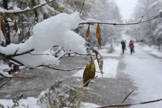 First snowfalls in the Russian provinces