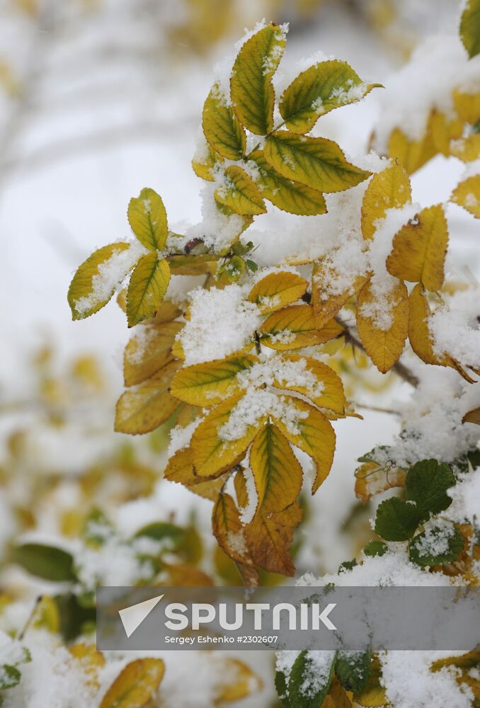 First snowfalls in the Russian provinces