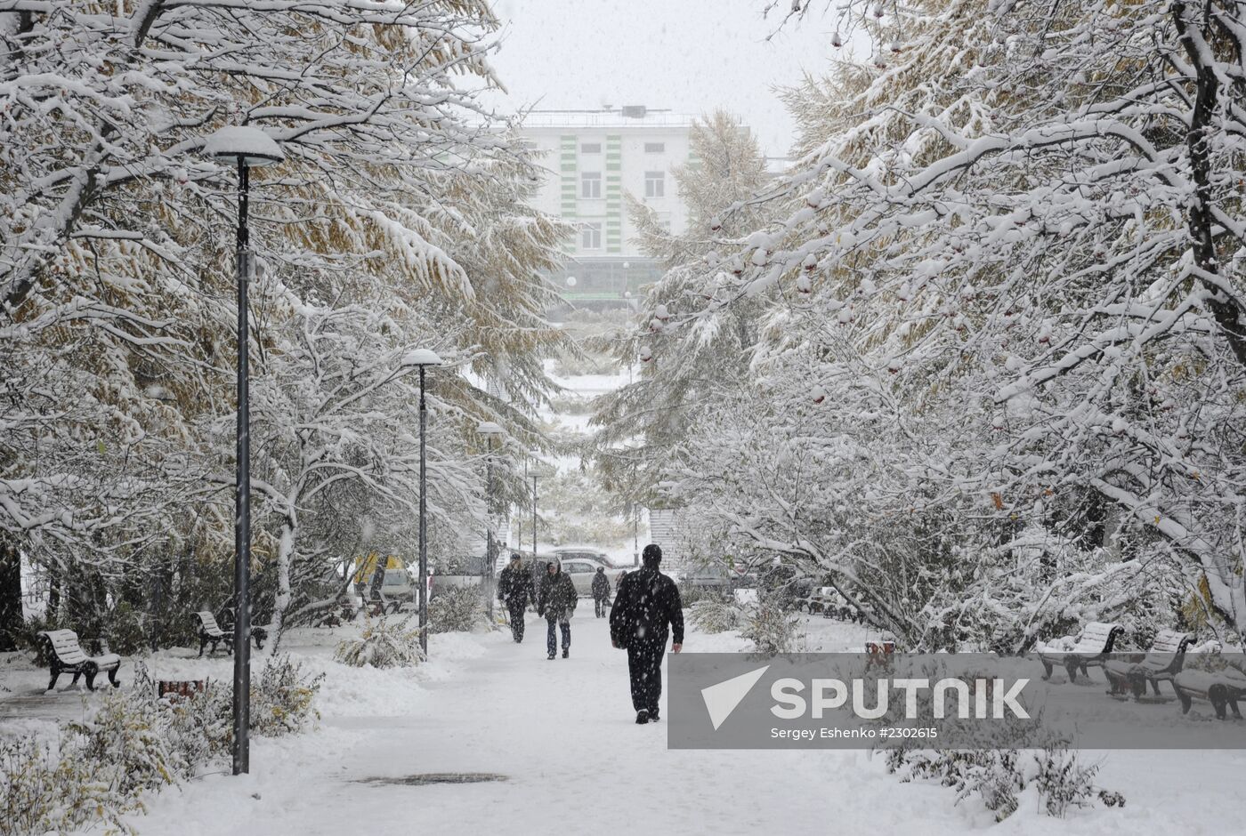 First snowfalls in the Russian provinces