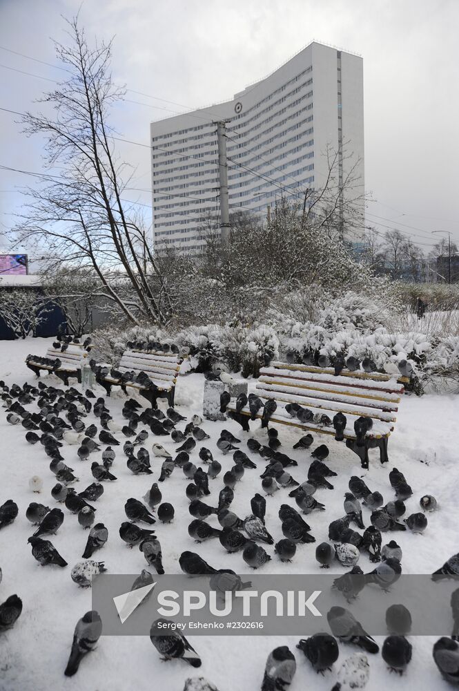 First snowfalls in the Russian provinces