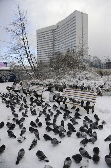 First snowfalls in the Russian provinces