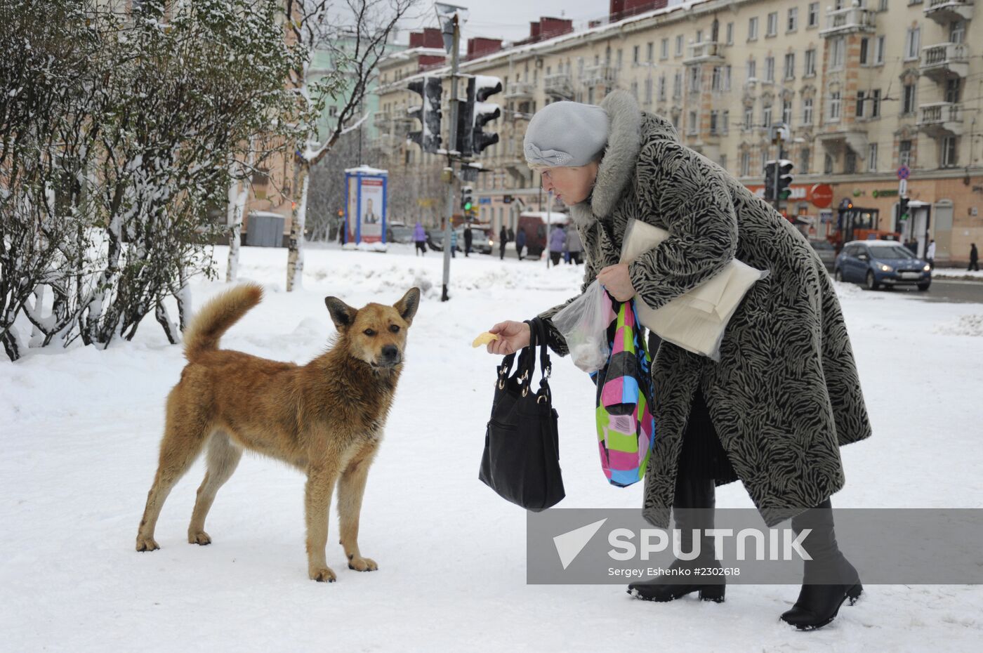 First snowfalls in the Russian provinces