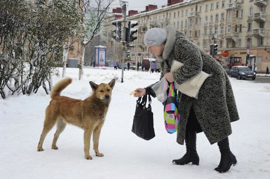 First snowfalls in the Russian provinces