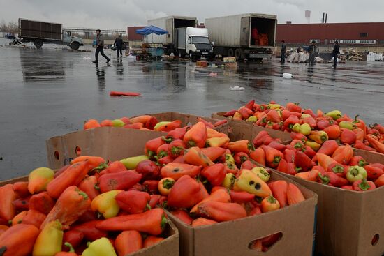Market closed at Novye Cheryomushki vegetable warehouse in Biryulyovo