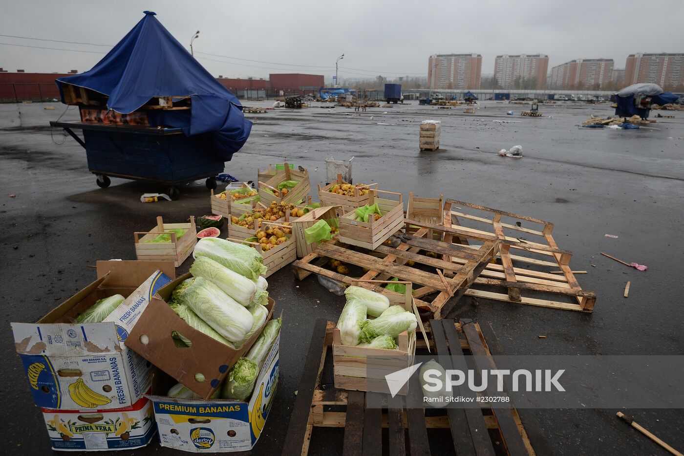 Market closed at Novye Cheryomushki vegetable warehouse in Biryulyovo