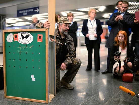 Putin's white crane found near Tyumen is brought to Moscow