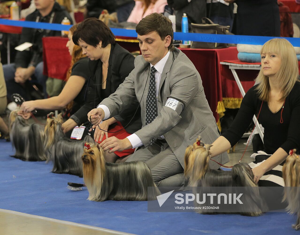Russia 2013 dog show