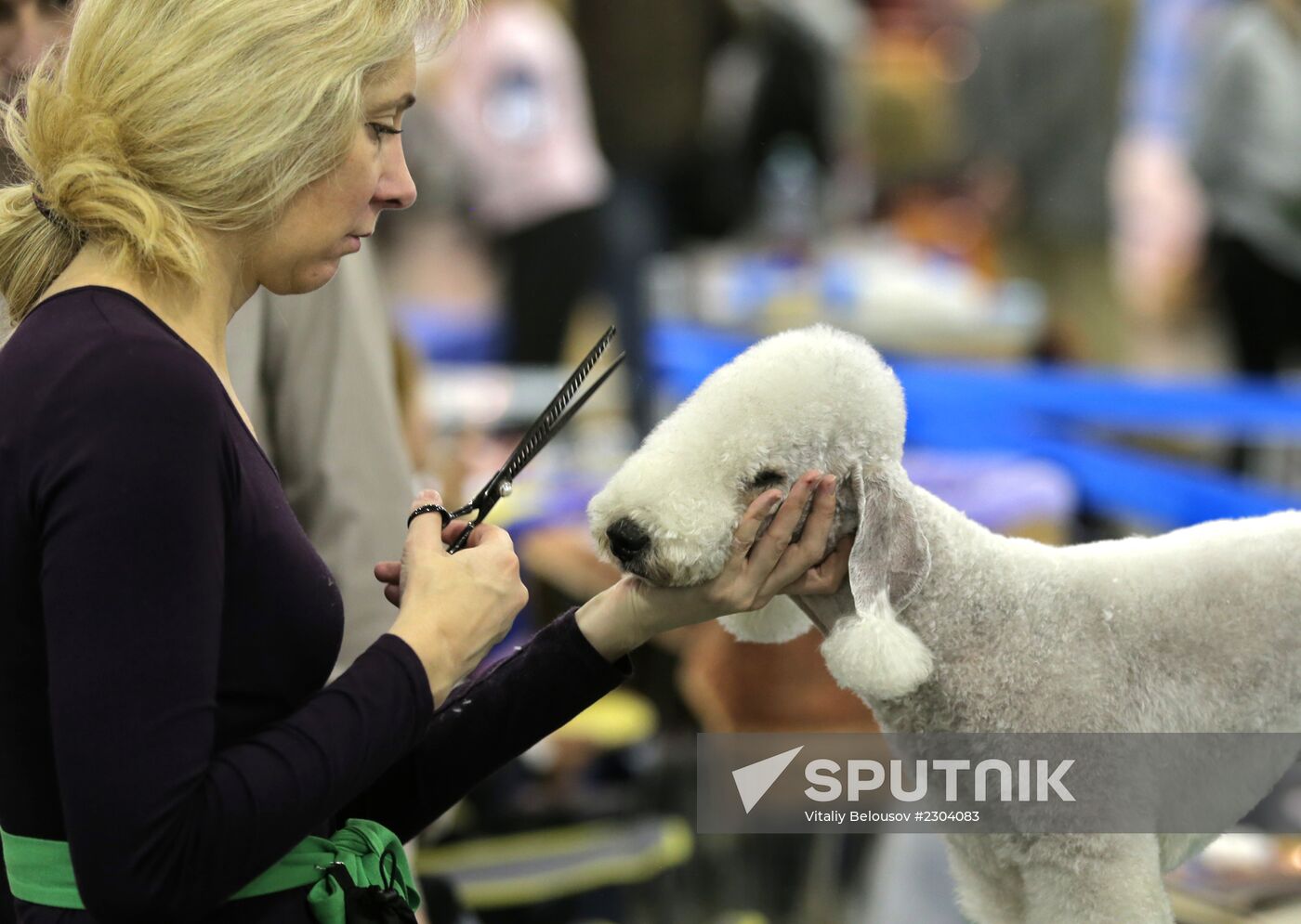 Russia 2013 dog show