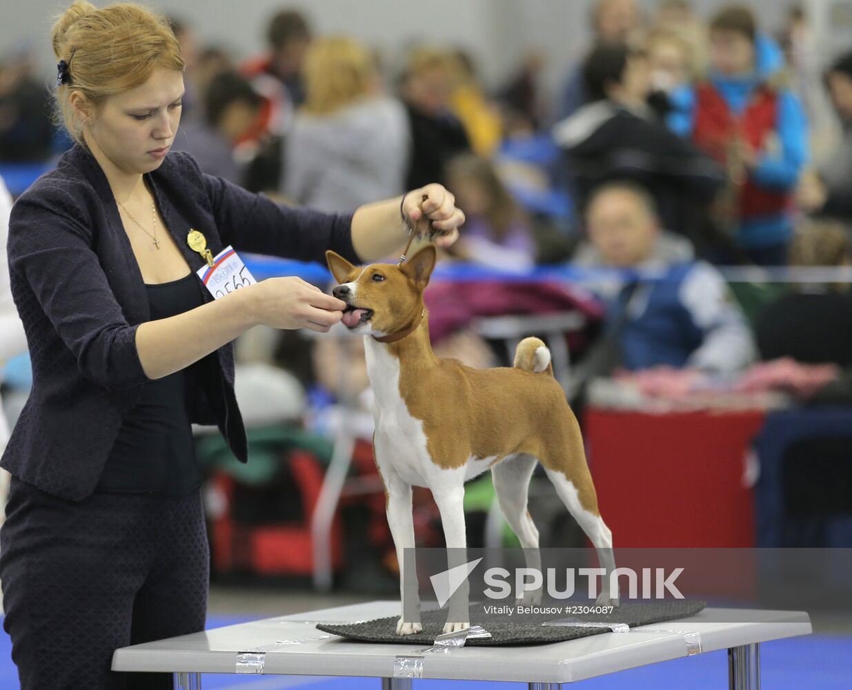 Russia 2013 dog show