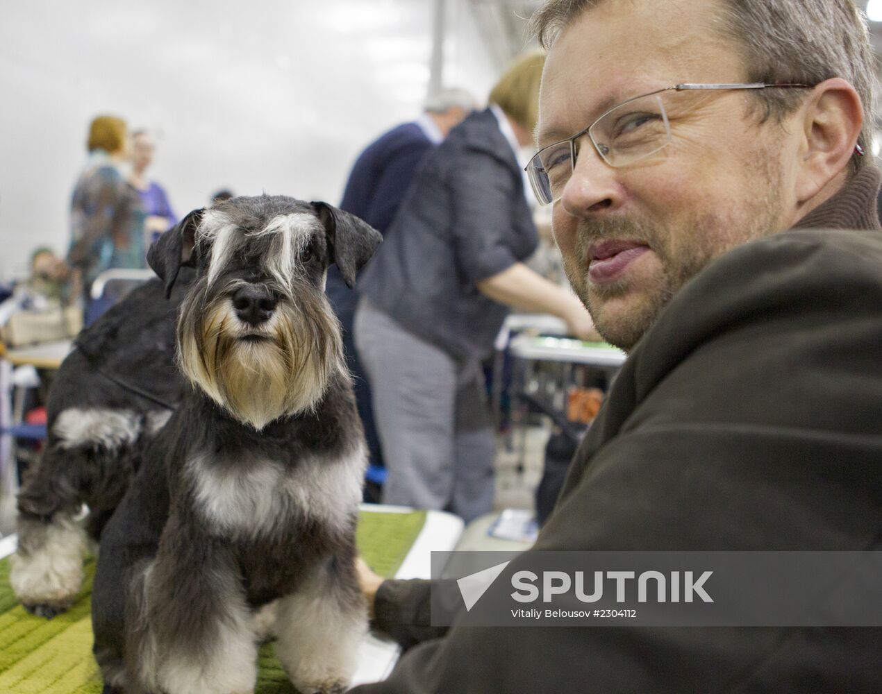 Russia 2013 dog show