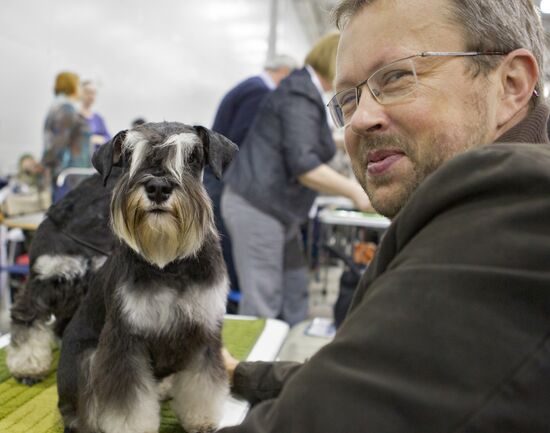 Russia 2013 dog show