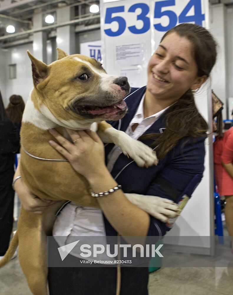 Russia 2013 dog show