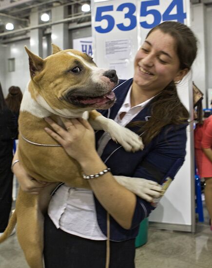 Russia 2013 dog show