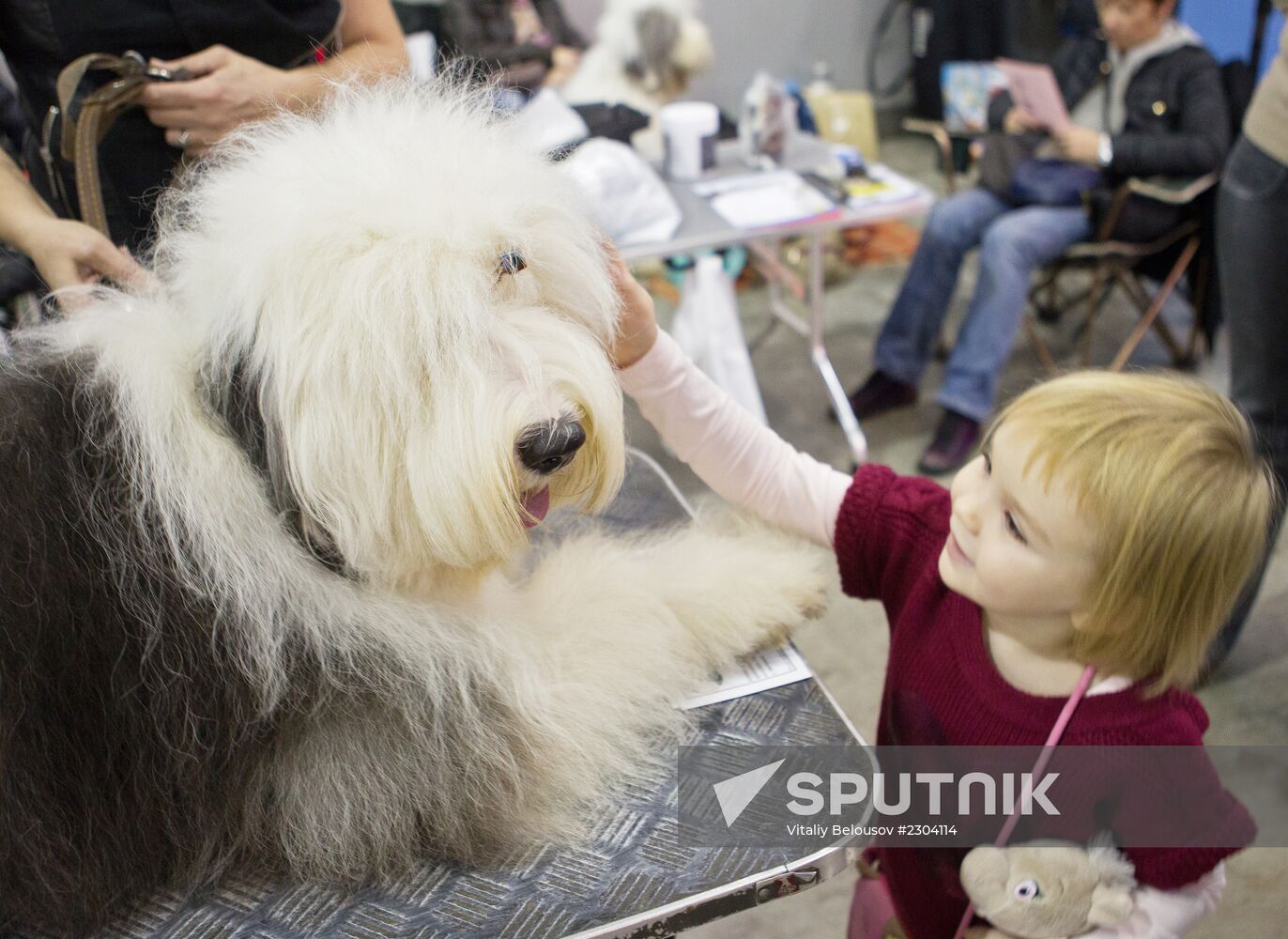 Russia 2013 dog show