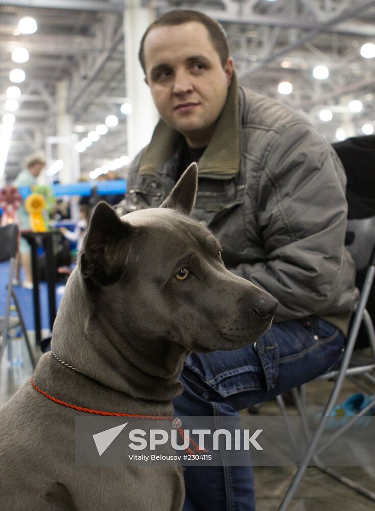 Russia 2013 dog show
