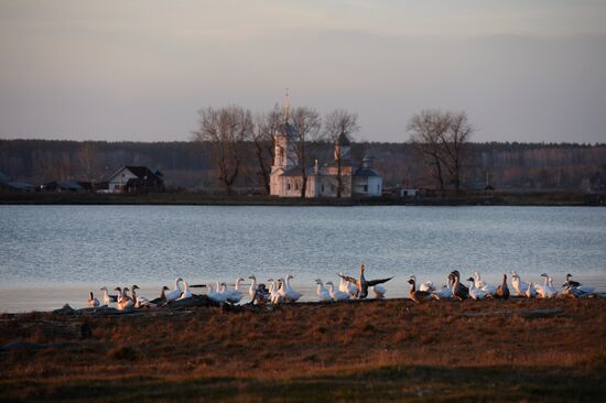 Living in Novosibirsk Region villages