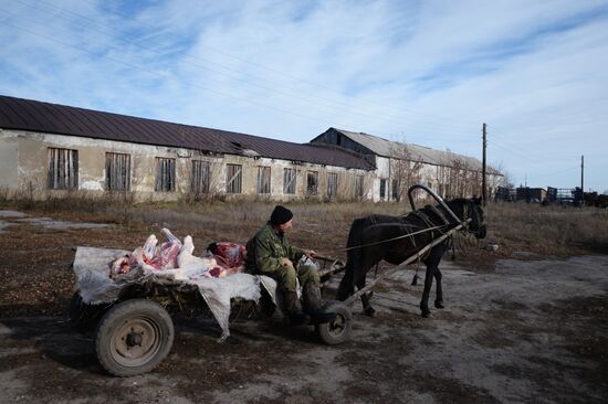 Living in Novosibirsk Region villages