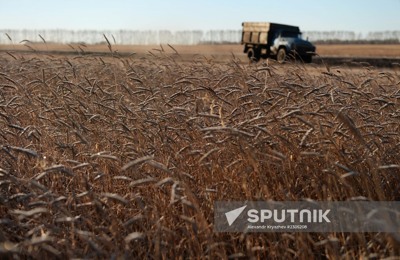 Living in Novosibirsk Region villages