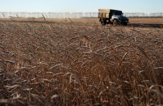 Living in Novosibirsk Region villages