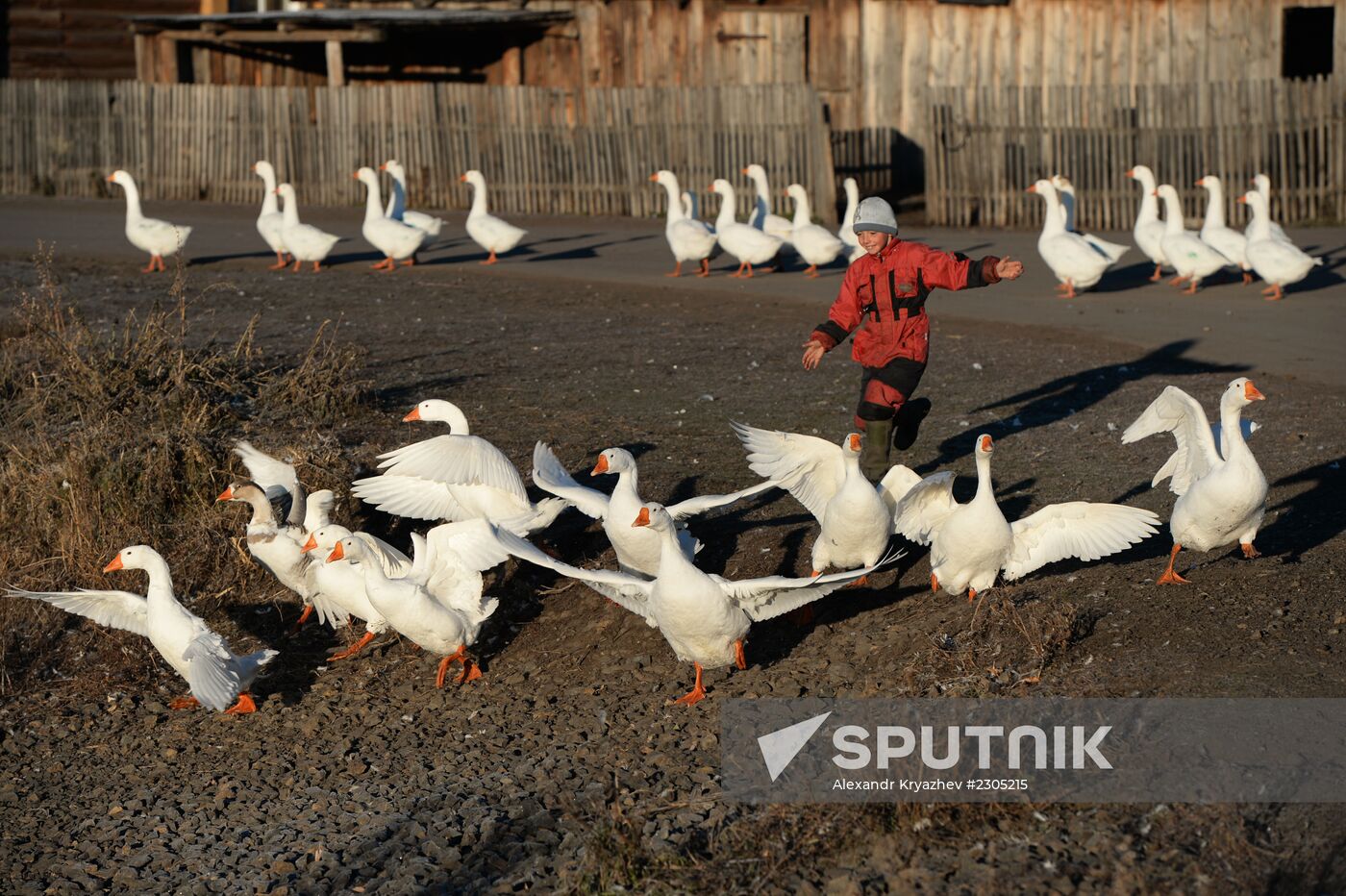 Living in Novosibirsk Region villages