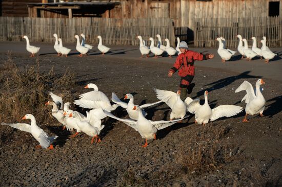 Living in Novosibirsk Region villages