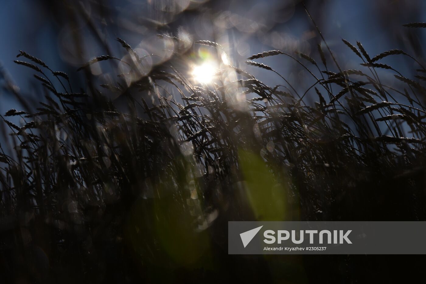 Living in Novosibirsk Region villages