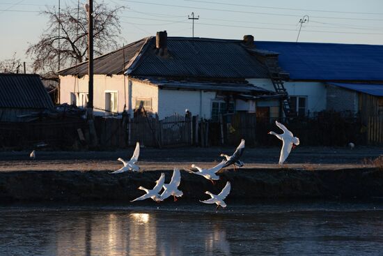 Living in Novosibirsk Region villages