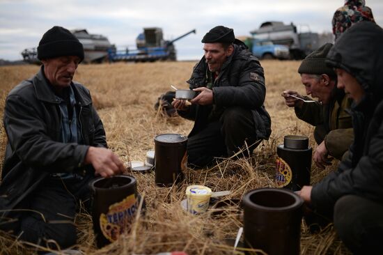 Living in Novosibirsk Region villages