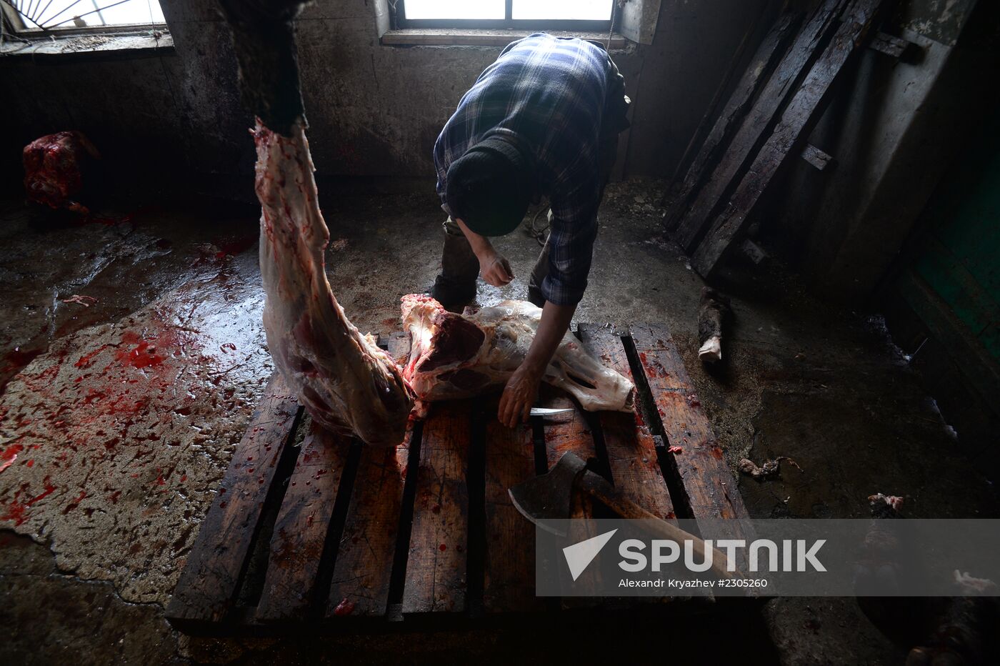 Living in Novosibirsk Region villages