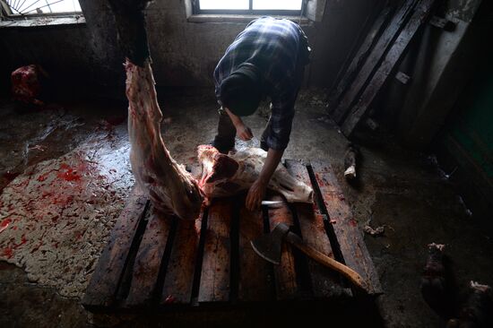 Living in Novosibirsk Region villages