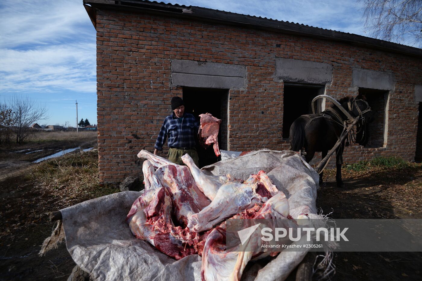 Living in Novosibirsk Region villages