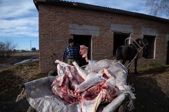 Living in Novosibirsk Region villages