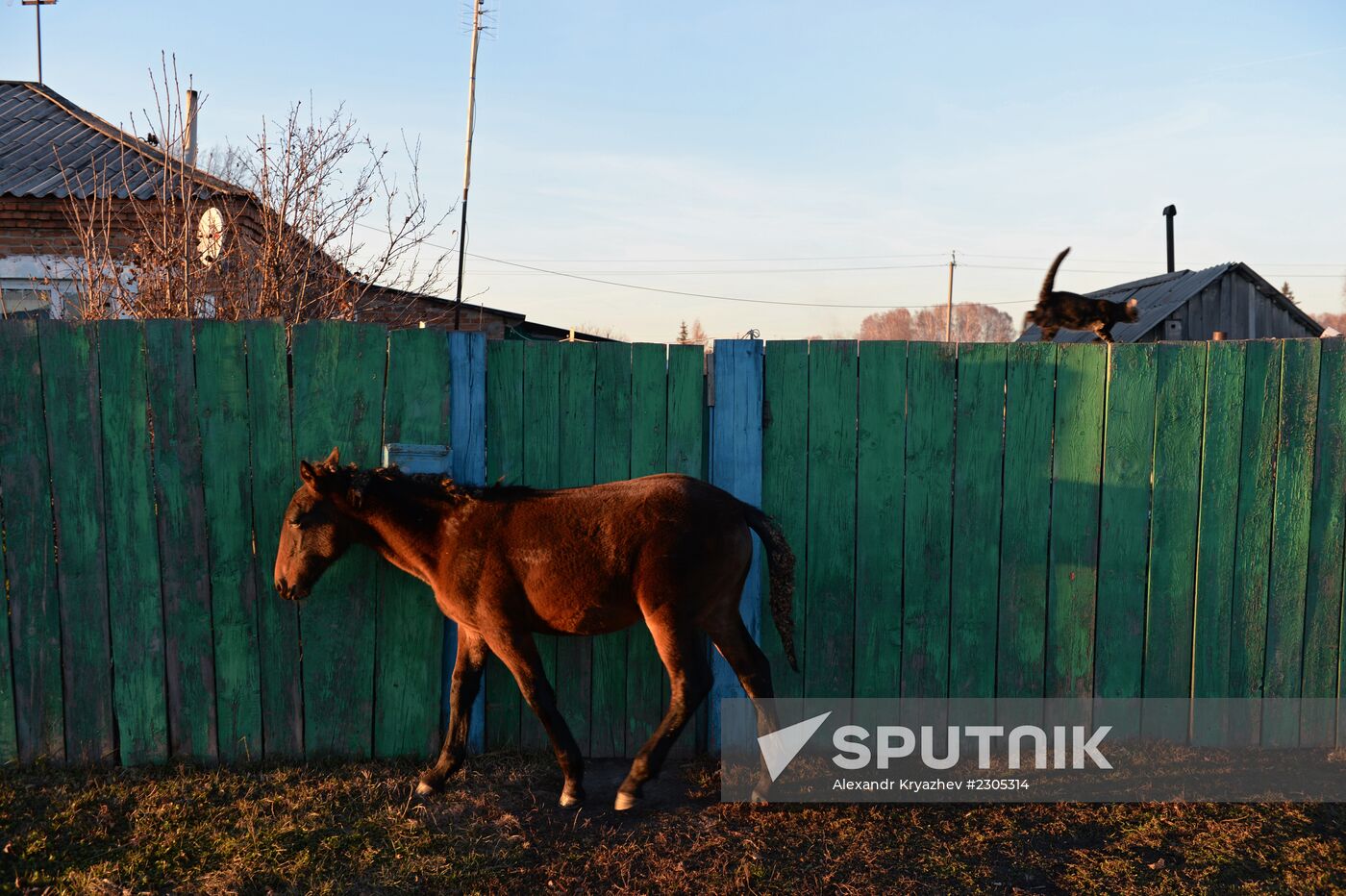 Living in Novosibirsk Region villages