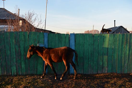 Living in Novosibirsk Region villages