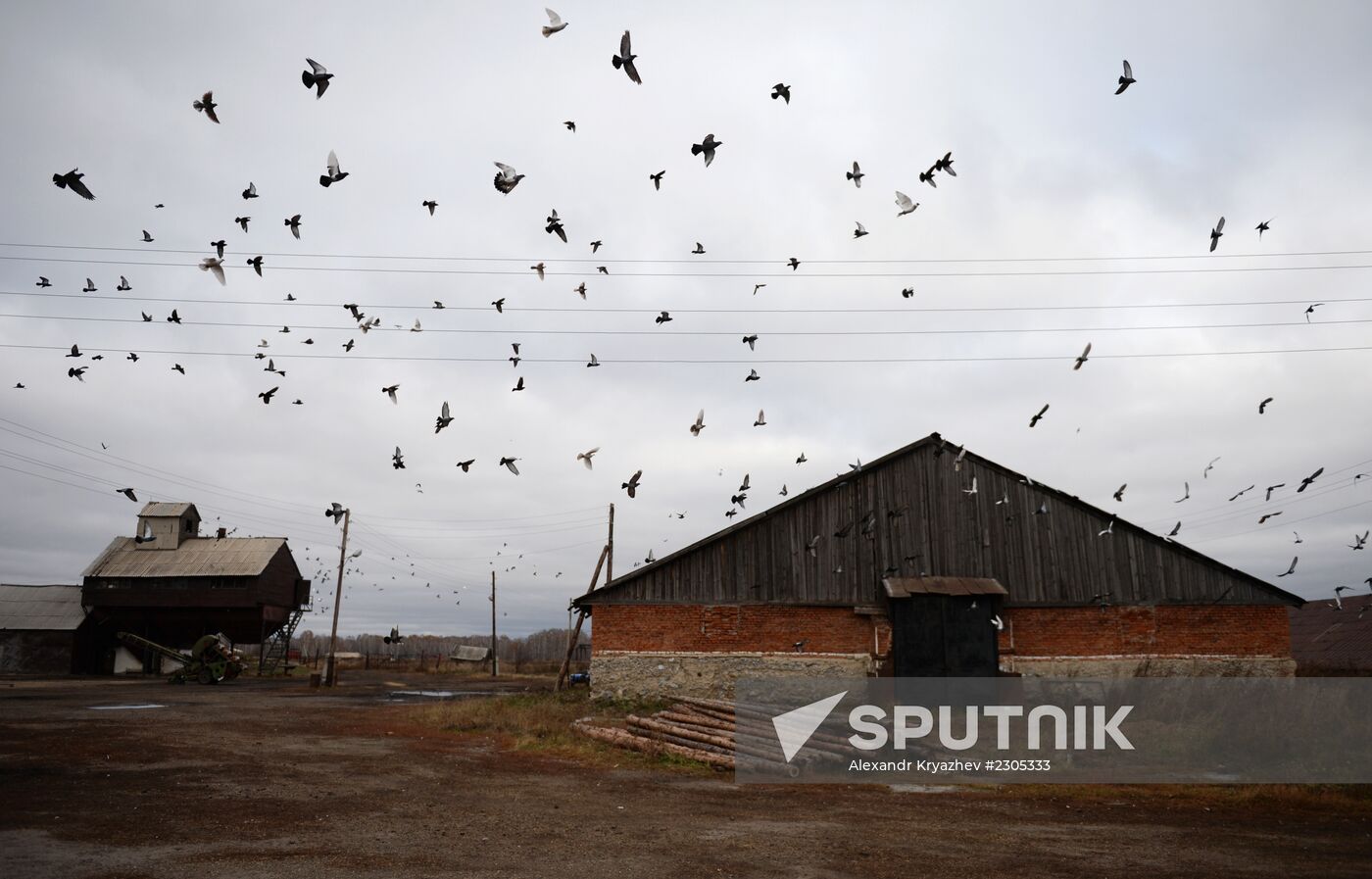 Living in Novosibirsk Region villages