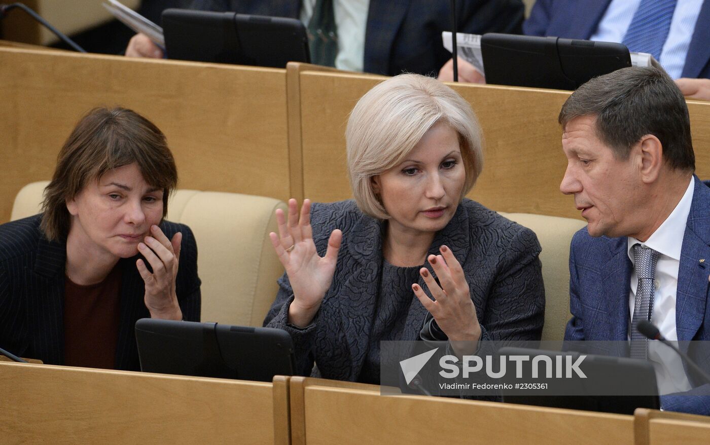 State Duma holds session