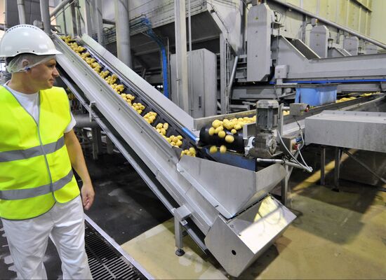 PepsiCo launches second potato chips production line in Rostov Region