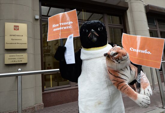 Penguin-dressed Antarctic Aliance activist hands letter to Russian President's office